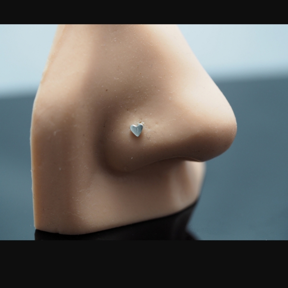 3 Nose Rings 🩶🩶🩶 - Picture 6 of 8